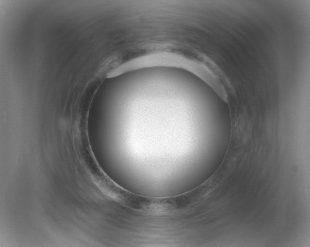 X0000081600209200701291410