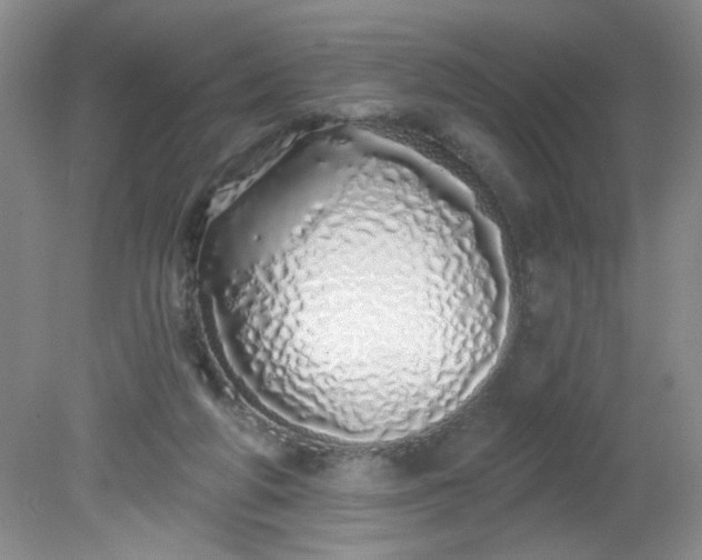 X0000081600210200701291410