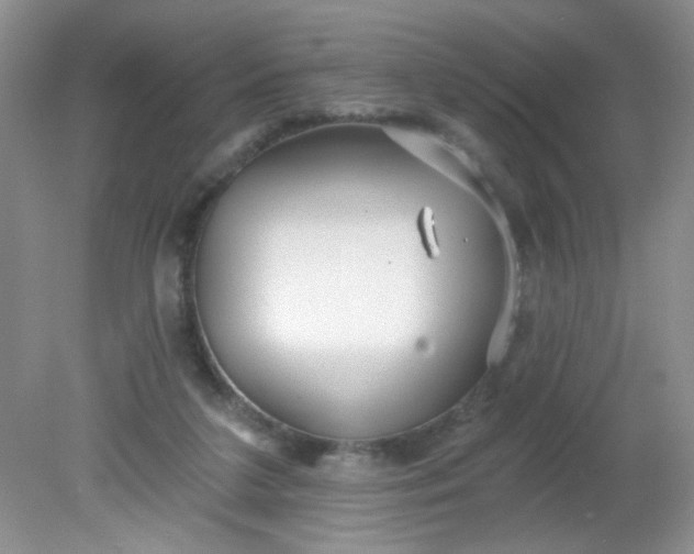 X0000081600211200701291410