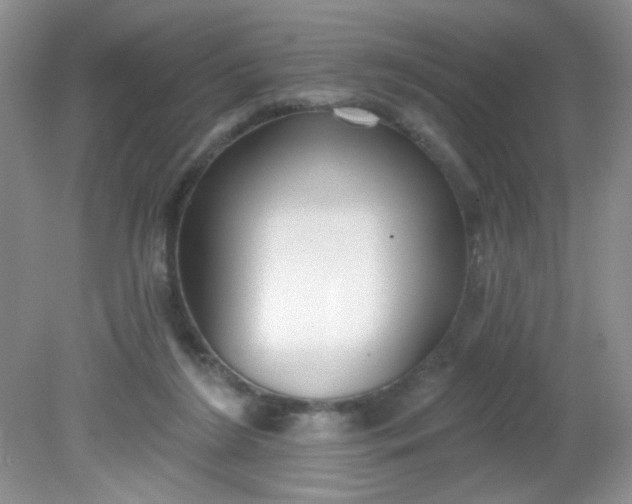 X0000081600212200701291410