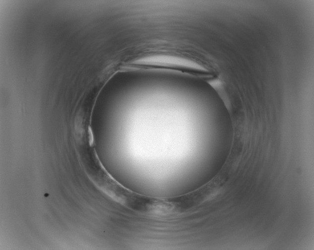 X0000081600215200701291410