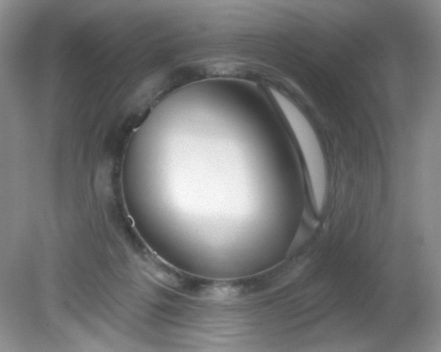 X0000081600217200701291410