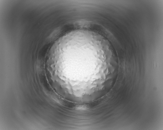 X0000081600218200701291410