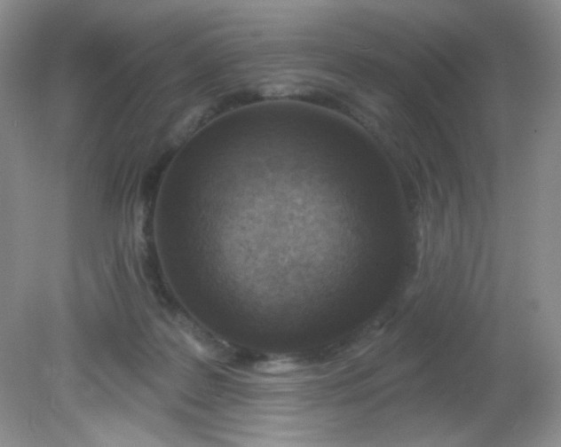 X0000081600219200701291409