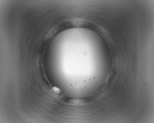 X0000081600221200701291409