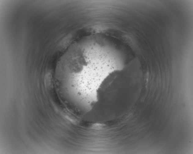 X0000081600222200701291409