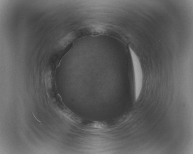 X0000081600223200701291409