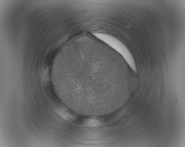 X0000081600224200701291409