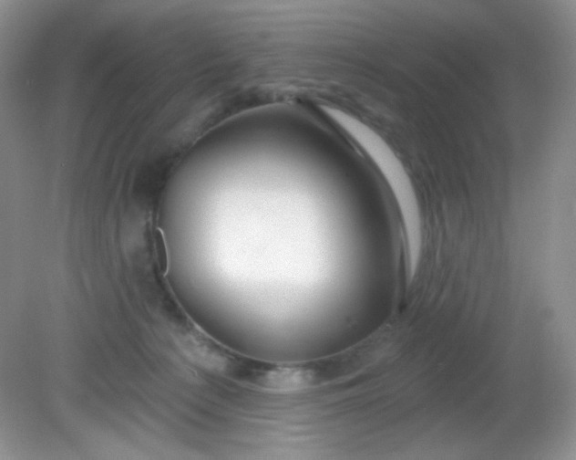 X0000081600225200701291409