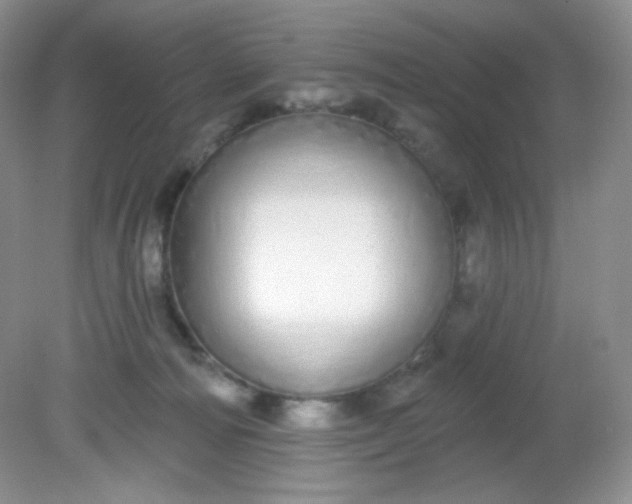 X0000081600226200701291409