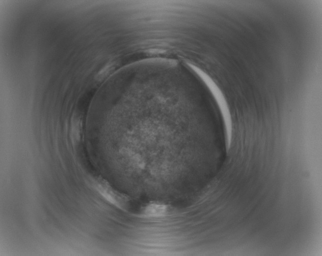 X0000081600227200701291409