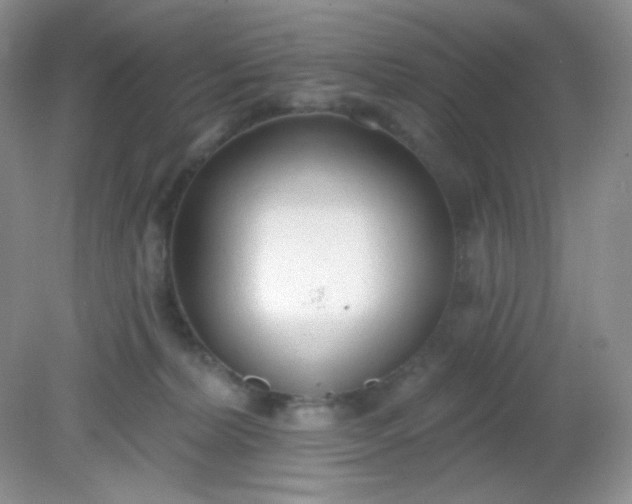 X0000081600228200701291409