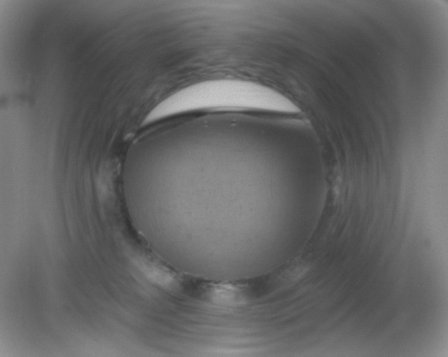 X0000081600229200701291409