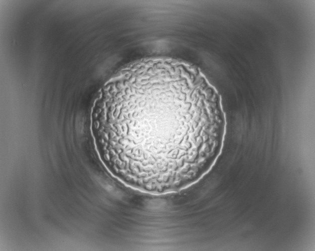 X0000081600230200701291409