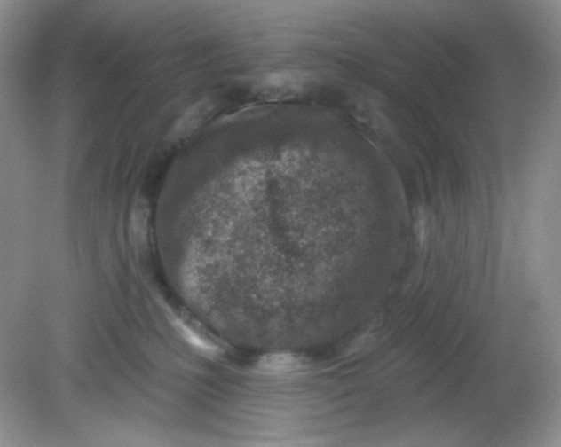 X0000081600231200701291409