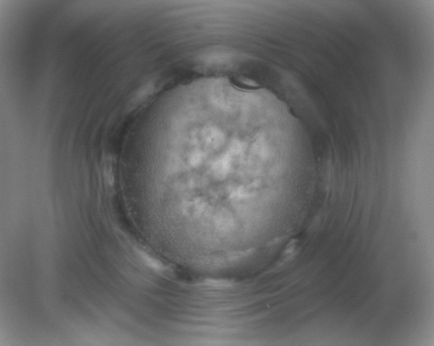 X0000081600232200701291409