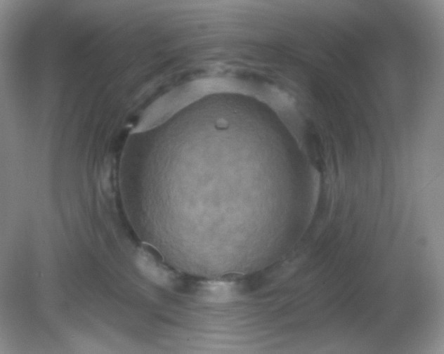 X0000081600233200701291409