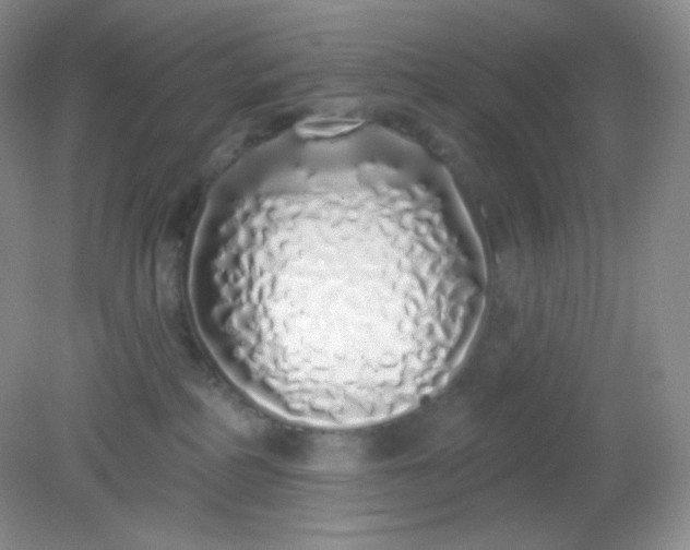 X0000081600234200701291409