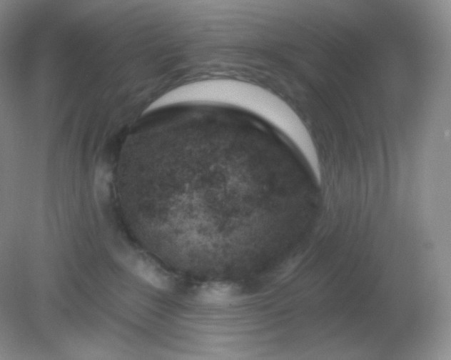 X0000081600235200701291409