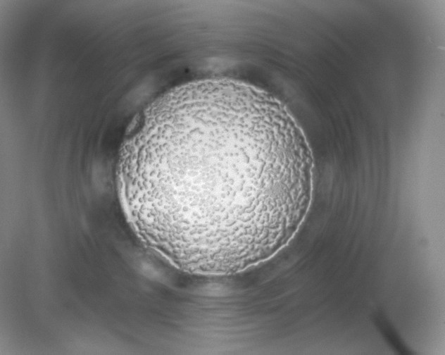 X0000081600236200701291409