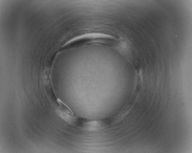 X0000081600237200701291409