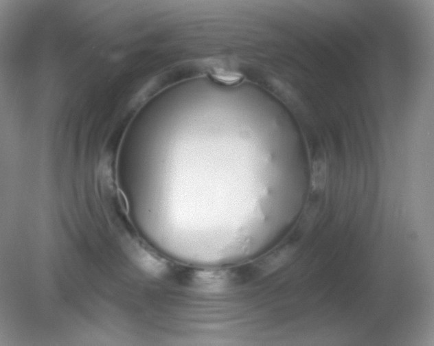 X0000081600238200701291409