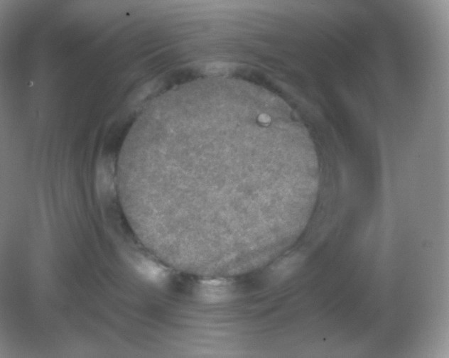 X0000081600240200701291409