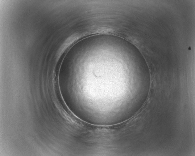 X0000081600242200701291408