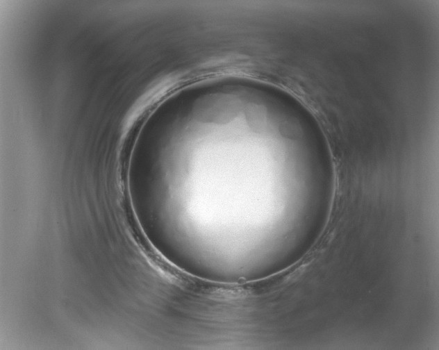 X0000081600245200701291408