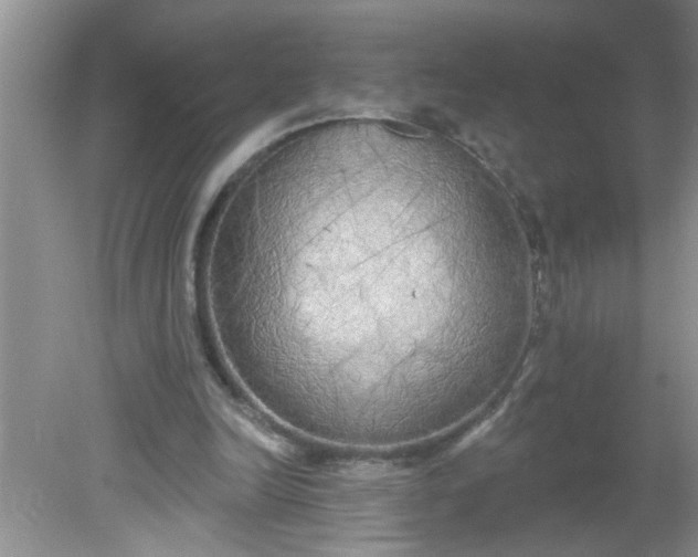 X0000081600246200701291408