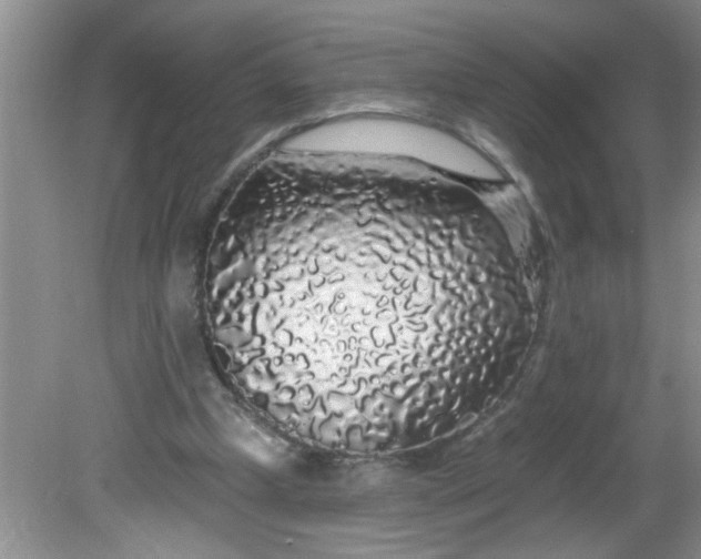 X0000081600249200701291408