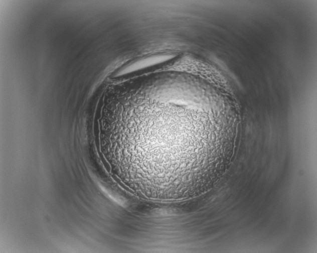 X0000081600250200701291408