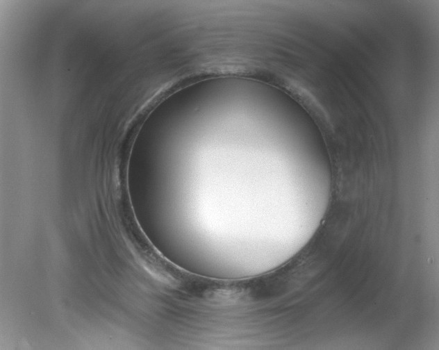 X0000081600251200701291409