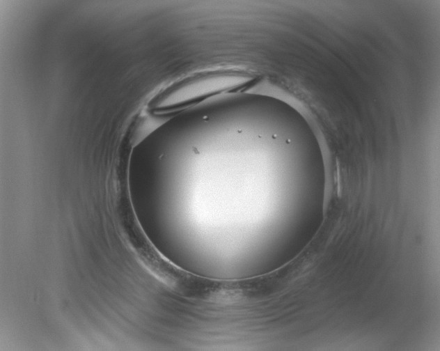 X0000081600252200701291409