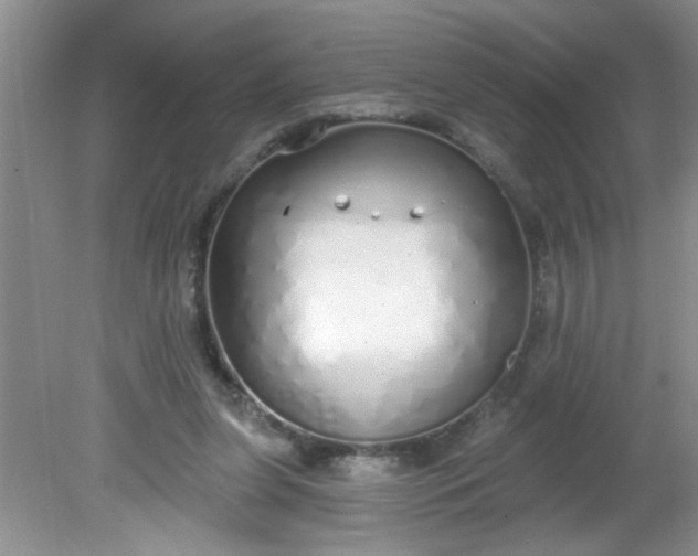 X0000081600255200701291409