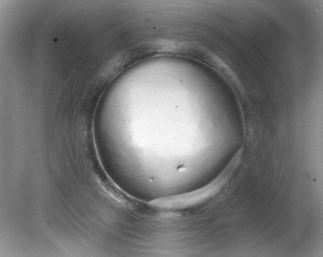 X0000081600257200701291409