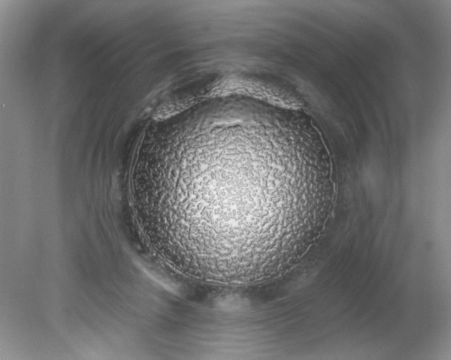 X0000081600258200701291409