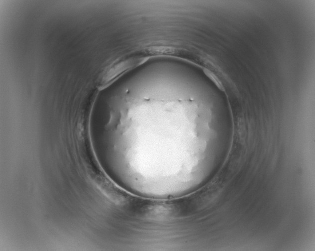 X0000081600259200701291409