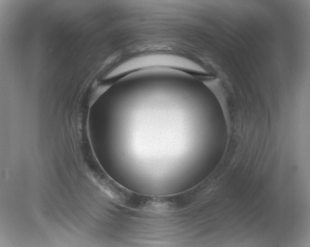 X0000081600260200701291409