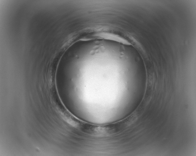 X0000081600261200701291409