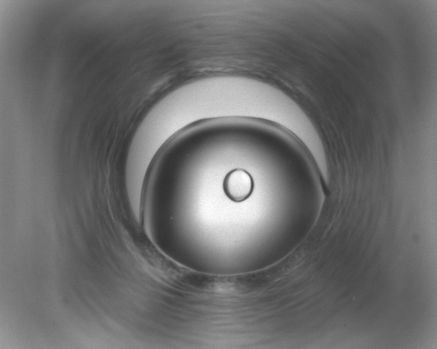 X0000081600264200701291409