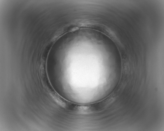 X0000081600265200701291409