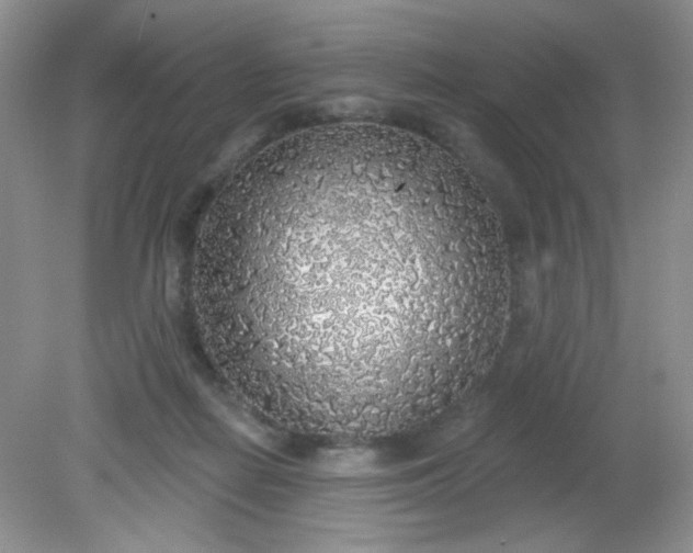 X0000081600266200701291409