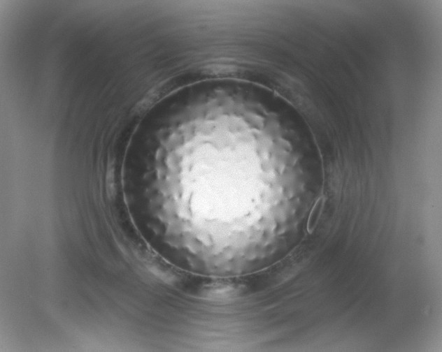 X0000081600267200701291409