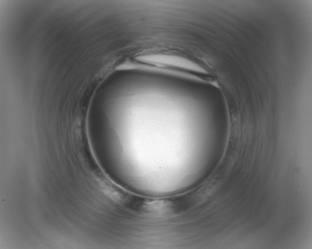 X0000081600269200701291409