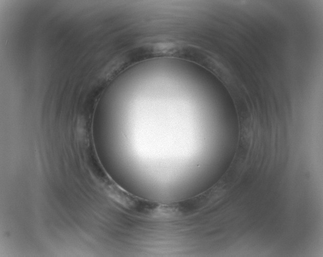 X0000081600270200701291409