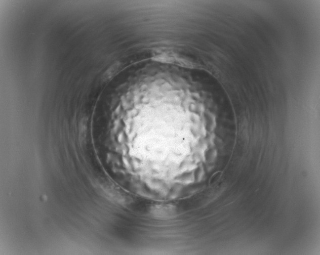 X0000081600271200701291409