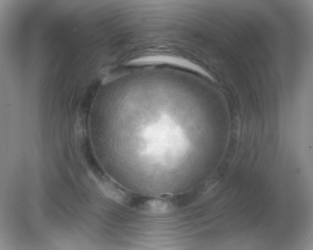 X0000081600272200701291409