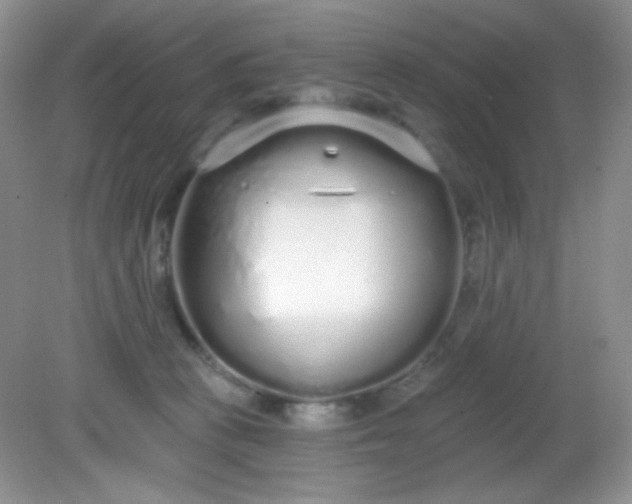 X0000081600273200701291409