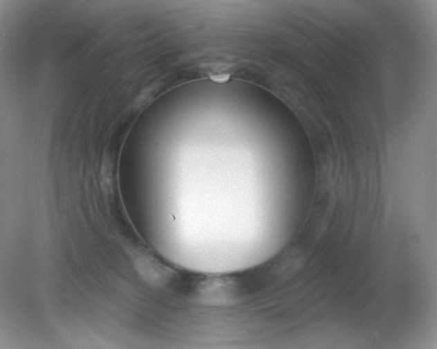 X0000081600274200701291409